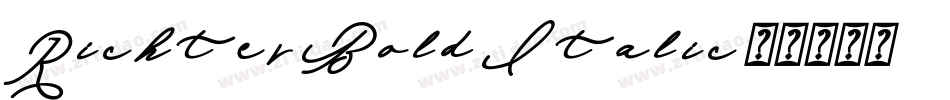 Richter Bold Italic字体转换